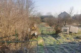 Grundstück zu kaufen in 67125 Dannstadt-Schauernheim, Bauerwartungsland! Pferdehaltung möglich