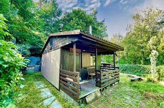 Grundstück zu kaufen in 67157 Wachenheim, Natur pur an der Pfälzer Weinstraße. Freizeitgrundstück mit Gartenhäuschen