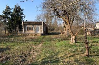 Grundstück zu kaufen in 04928 Plessa, Freiraum für Ideen – Ihr Rückzugsort auf 2.500 m² Grundstück mit Bungalow in Plessa