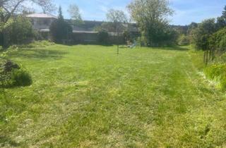 Grundstück zu kaufen in 03238 Finsterwalde, Großzügiges Gartengrundstück mit Entwicklungspotenzial in beliebter Lage von Finsterwalde.