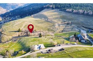 Grundstück zu kaufen in 79674 Todtnau, Auktion am 19. Juni 2025 - Wiesenflächen im Skigebiet Muggenbrunn