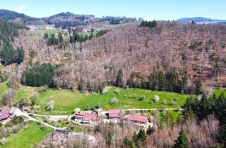 Grundstück zu kaufen in Sattelhof, 79650 Schopfheim, Auktion am 19. Juni 2025 - 2,7 ha Waldfläche oberhalb vom Weiler Sattelhof