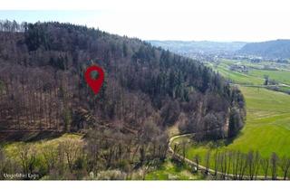 Grundstück zu kaufen in Raitbach, 79650 Schopfheim, Auktion am 19. Juni 2025 - 1 ha Waldfläche bei Hausen im Wiesental