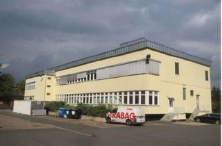 Gewerbeimmobilie kaufen in Am Brendelsgarten 1 und 5, 07318 Saalfeld, Interessantes Bürogebäude und attraktives Entwicklungsgrundstück zu verkaufen