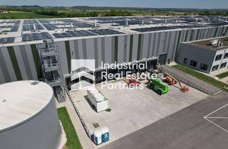 Gewerbeimmobilie mieten in 84453 Mühldorf, Neubau Logistikpark Mühldorf am Inn