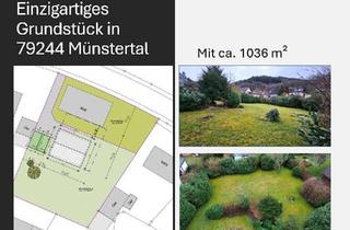 Grundstück zu kaufen in 79244 Münstertal, Wunderschönes Baugrundstück kurz vor Staufen.