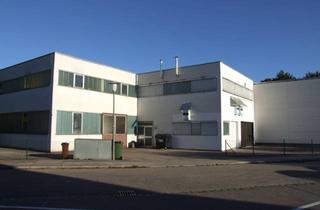 Gewerbeimmobilie kaufen in Breslauer Weg 99, 82538 Geretsried, Lichtdurchflutetes Büro/Lager o. Pension 140 qm, teilbar ab 43m2