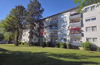 Wohnung mieten in Goethestraße 43, 63477 Maintal, Top!! 3 Zimmer mit Balkon und Einbauküche