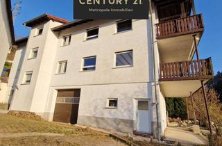 Wohnung mieten in 64757 Rothenberg, Neu renovierte 2-Zi Wohnung
