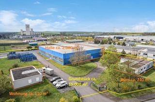 Büro zu mieten in In Den Remisen, 99631 Weißensee, 2.000 m² Halle mit Kräne + 240 m² Büro + 110 m² Wohnung // Für Handwerk, Logistik und Produktion