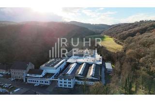 Gewerbeimmobilie mieten in 53902 Bad Münstereifel, Im Alleinauftrag | 3.050 m² Lager-/Produktionsfläche| RUHR REAL