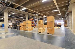 Büro zu mieten in 74372 Sersheim, Lager-/ und Produktionsflächen mit Büroanteil