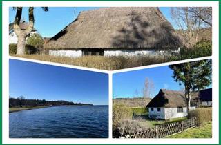 Grundstück zu kaufen in 18528 Patzig, - Bieterverfahren - Kleines Baugrundstück mit Zugang zum Jasmunder Bodden!