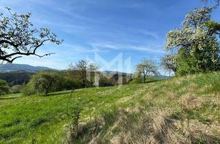 Grundstück zu kaufen in 93444 Bad Kötzting, Sehr großes Grundstück in herrlicher Aussichtslage !