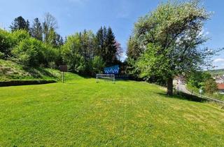 Grundstück zu kaufen in 72221 Haiterbach, Großes Baugrundstück für den Bau eines Mehrfamilienhauses