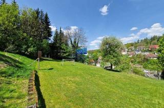 Grundstück zu kaufen in 72221 Haiterbach, Großes Baugrundstück für den Bau eines Mehrfamilienhauses