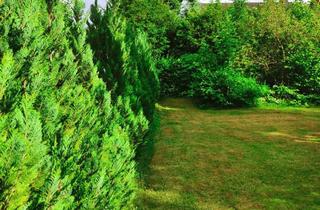 Grundstück zu kaufen in Freizeitpark Lübars, 13469 Lübars, Baugrundstück Nahe Freizeitpark Lübars!2 geschossige Bebauung mit ca. 165 qm Wfl. möglich