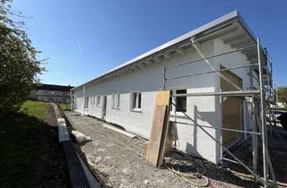 Büro zu mieten in 88444 Ummendorf, Hell und großzügig! Büro-/Praxisfläche in Ummendorf