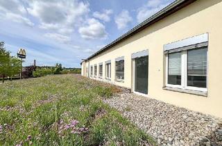 Büro zu mieten in 01662 Meißen, Bis zu 630 m² Bürofläche in Meißen zur Miete | Gewerbeareal mit Hallen