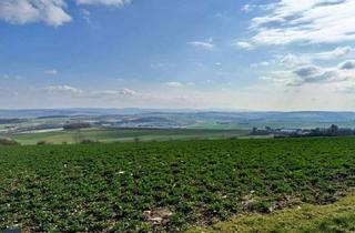 Gewerbeimmobilie kaufen in 65597 Hünfelden, Zwei angrenzende landwirtschaftliche Flächen mit Baumbestand und kleiner Hütte