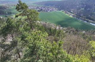 Gewerbeimmobilie kaufen in 99826 Ebenshausen, Kleiner Laubmischwald (ca. 0,7 ha) im Wartburgkreis in der Nähe der Werra