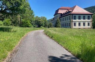 Gewerbeimmobilie kaufen in 97903 Collenberg, Schloß zu verkaufen - Hotel / Wohnanlage / Tagungszentrum / Firmenzentrale