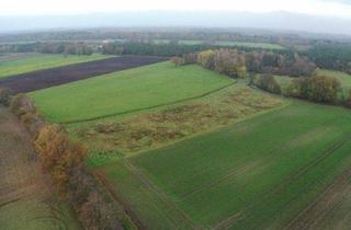 Anlageobjekt in 49492 Westerkappeln, Ackerland in Westerkappeln