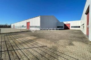 Gewerbeimmobilie mieten in 04509 Krostitz, Lager- und Porduktionsfläche mit Krananlage nahe der A14!