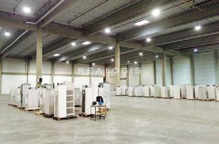 Büro zu mieten in 16761 Hennigsdorf, Hennigsdorf bei Berlin, ca. 5.430 m² Logistik Neubau, Halle, Büro