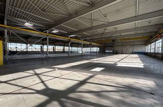 Gewerbeimmobilie kaufen in In Den Remisen, 99631 Weißensee, 2.000 m² Halle mit Kräne + 240 m² Büro + 110 m² Wohnung // Für Handwerk, Logistik und Produktion