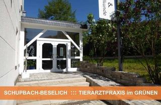 Praxen kaufen in 65614 Beselich, TIERARZTPRAXIS mitten im GRÜNEN ::: BESELICH-SCHUPBACH