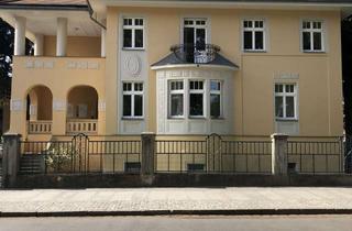 Büro zu mieten in Gartenstr. 20, 01796 Pirna, Repräsentatives Büro/Geschäftshaus am Tor zum Zentrum der Stadt Pirna