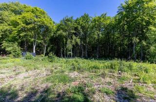 Grundstück zu kaufen in 82064 Straßlach-Dingharting, Traumgrundstück am Waldrand in Straßlach