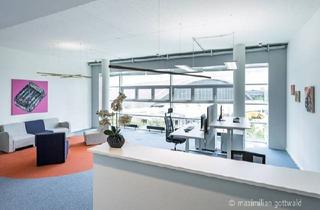 Büro zu mieten in Hirschgarten, 80639 München, Attraktives Büro am Hirschgarten