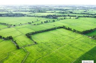 Grundstück zu kaufen in 87549 Rettenberg, Land- / Forstwirtschaft in 87549 Rettenberg, Einfang