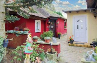 Haus kaufen in Swine Ende 11, 18528 Sehlen, Ihr Familienparadies im Herzen von Rügen: 2 herrliche Reetdachhäuser auf weitläufigem Grundstück