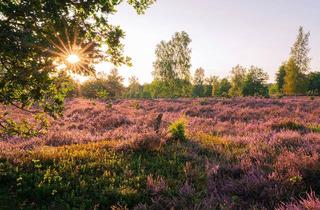 Villa kaufen in Zum Auetal 26, 21271 Asendorf, Privates Naturidyll südlich von Hamburg – Exklusive Villa auf uneinsehbarem Grundstück
