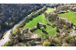 Gewerbeimmobilie kaufen in Doktor-Greve-Straße 16, 53902 Bad Münstereifel, Gelegenheit! Projektierter Campingplatz - Bad Münstereifel