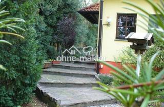 Villa kaufen in Nordstraße 11, 04895 Falkenberg, Villa für Natur.- und Garten- Liebhaber, Familien, Gäste - Haus, Preis: VB