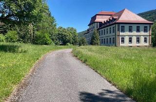 Hotel kaufen in 97903 Collenberg, Schloß zu verkaufen - Hotel / Wohnanlage / Tagungszentrum / Firmenzentrale