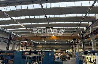 Büro zu mieten in In Den Kreuzwiesen, 69250 Schönau, Ihr neuer Produktionsstandort mit Büro, Außenfläche und Parkplätzen