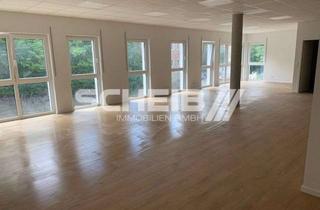 Büro zu mieten in Satteldorfer Hauptstraße + 38, 74589 Satteldorf, NEUBAU - moderne Bürofläche #hoher Energiestandard