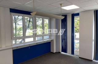 Büro zu mieten in August-Robert-Wieland-Straße -, 74405 Gaildorf, Lichtdurchflutete Bürofläche im Erdgeschoss