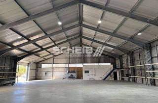 Gewerbeimmobilie mieten in Im Bäumlesfeld, 74532 Ilshofen, Hohe Produktions-/Lagerhalle unmittelbar an der A6 frei