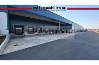 Gewerbeimmobilie mieten in General - Bishop Str. 46, 32339 Espelkamp, ROSE IMMOBILIEN KG: Neubau - KfW 40!! - Erstbezug Hier können Sie hochstapeln! Deckenhöhe ca. 8,3m!