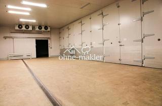 Geschäftslokal mieten in Tegelberg 25, 24576 Bad Bramstedt, Lagerfläche zu Vermieten in Bad Bramstedt.
