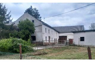 Bauernhaus kaufen in 54614 Schönecken, Schönecken - Haus mit großem Grundstück für Tierhaltung Bauernhaus