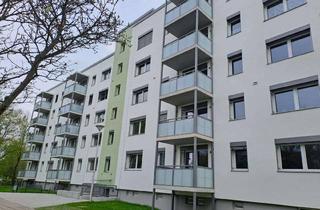 Wohnung mieten in Zielona-Gora-Straße 18, 03050 Sachsendorf, Schöne ruhige Wohnung in Seniorenwohngemeinschaft