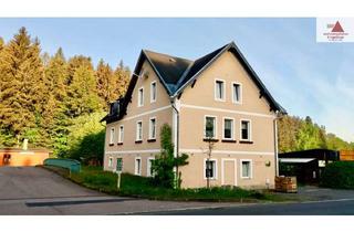Wohnung mieten in Altenberger Straße 71, 01744 Schmiedeberg, Teilmöblierte 2-Raum-Wohnung mit Stellplatz in Schmiedeberg