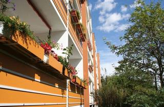 Wohnung mieten in Fritz-Heckert-Siedlung 53, 09337 Hohenstein-Ernstthal, Für Singles: Einziehen und Wohl-Fühlen!!!